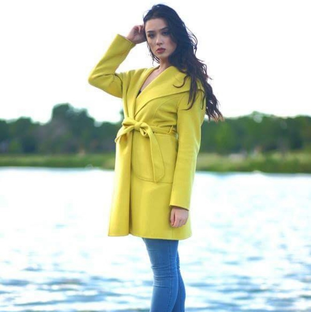 Wool coat (women style)